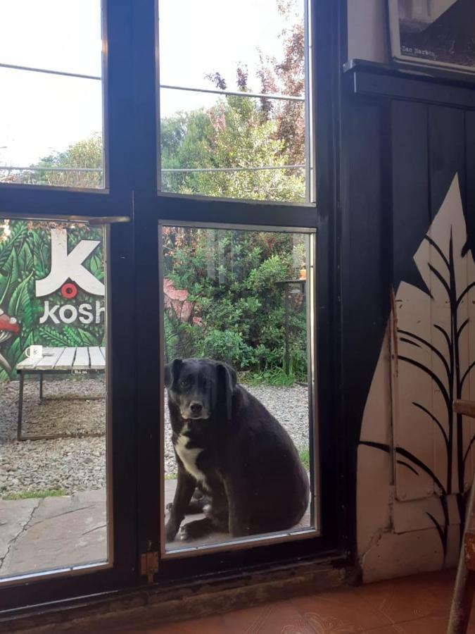 Kosh Hostel Σαν Κάρλος ντε Μπαριλότσε Εξωτερικό φωτογραφία